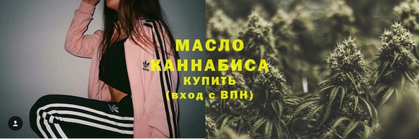 мдпв Ельня