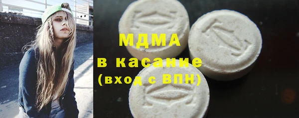 мдпв Ельня