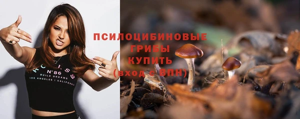 а пвп мука Заволжск