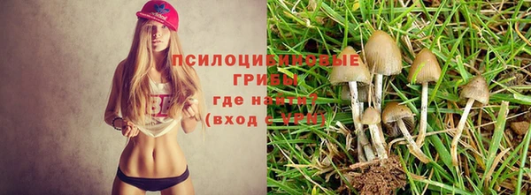 дурь Заволжье