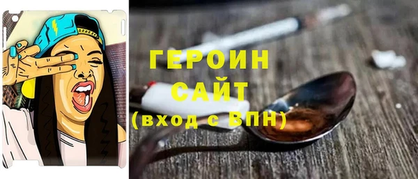 мдпв Ельня