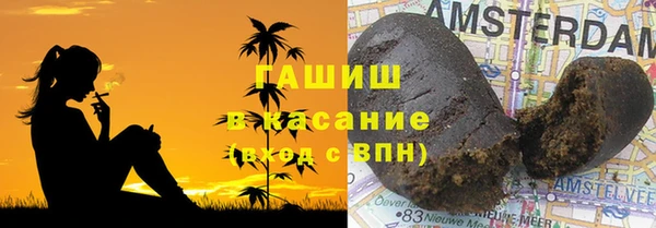 мдпв Ельня
