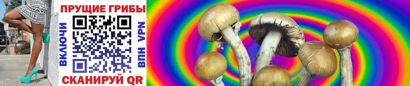 Галлюциногенные грибы мухоморы  Купить где  Южноуральск 